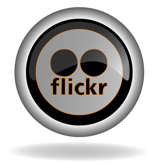 Flickr 社交媒体 社交网络 - 上的免费图片