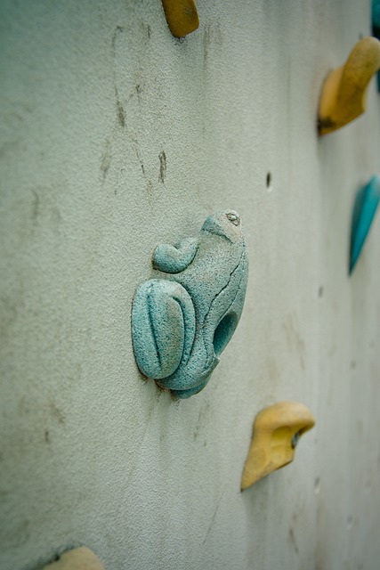 攀岩墙 青蛙 抓手 - 上的免费照片