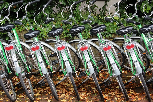 自行车 自行车出租 循环 - 上的免费照片