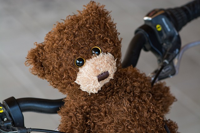 泰迪熊 棕色的 自行车 - 上的免费照片