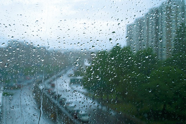 雨 窗户 降低 - 上的免费照片