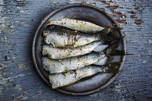 沙丁鱼 鱼 电镀食物 - 上的免费照片