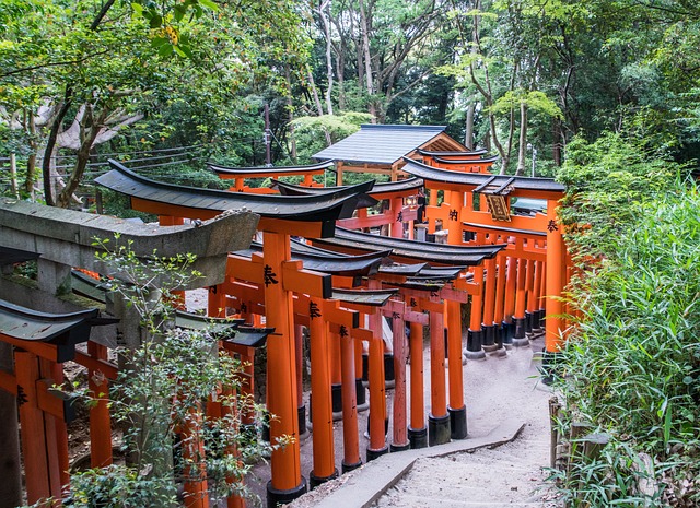 京都 日本 伏见稻荷神社 - 上的免费照片