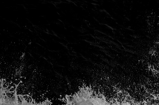 水 溅 黑色的 - 上的免费照片