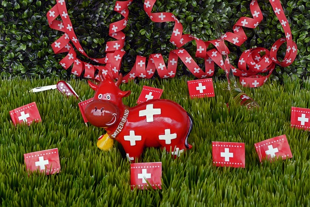法定节假日 瑞士 庆祝 - 上的免费照片