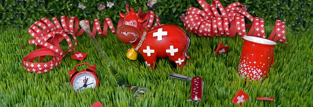 法定节假日 瑞士 庆祝 - 上的免费照片