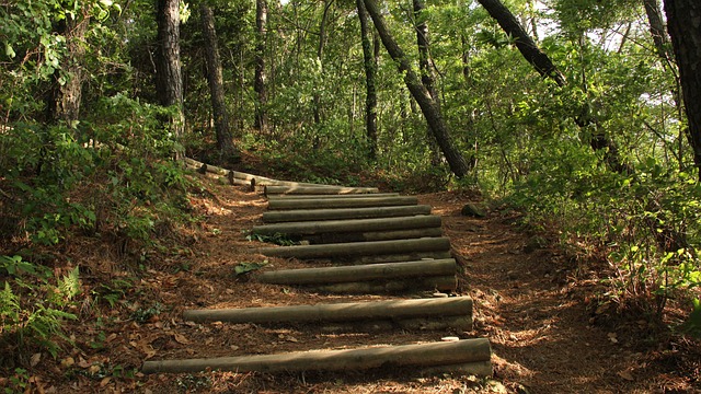 山 山路 楼梯 - 上的免费照片