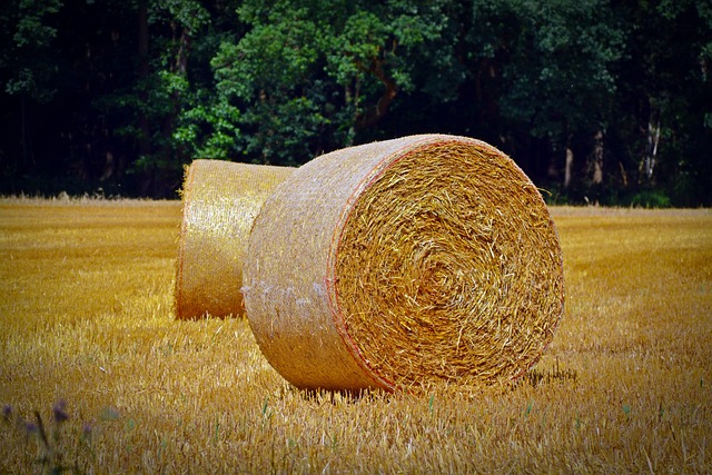 稻草包 圆球 农业 - 上的免费照片