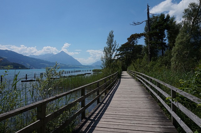 因特拉肯 瑞士 湖 - 上的免费照片