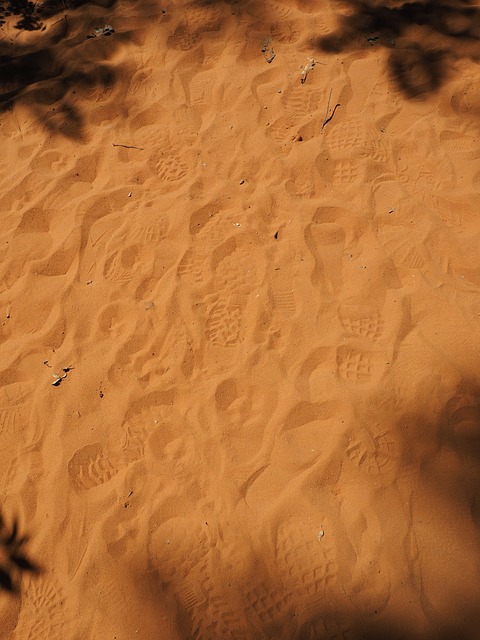 感觉 沙 在沙子里的曲目 - 上的免费照片