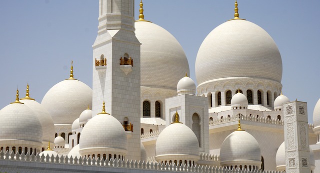谢赫扎耶德 大清真寺 白色清真寺 - 上的免费照片