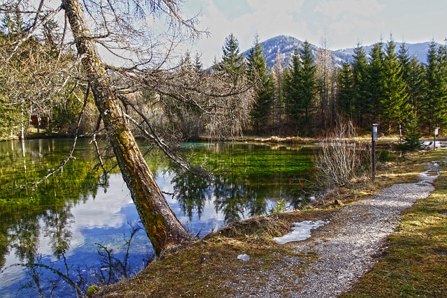 奥地利 施蒂里亚 绿湖 - 上的免费照片