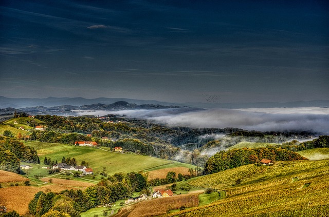 南部施蒂利亚州 葡萄酒 藤蔓 - 上的免费照片