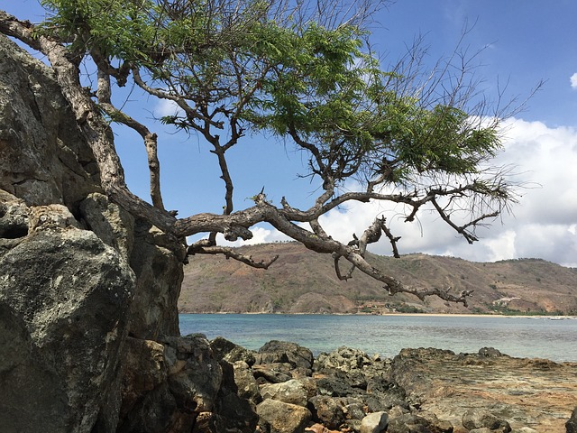 龙目 海滩 印度尼西亚 - 上的免费照片