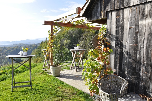 南部施蒂利亚州 葡萄酒 - 上的免费照片