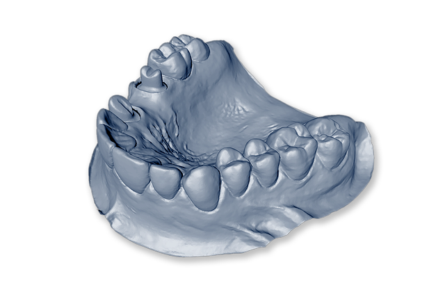 孤立 牙齿模型 下颌 3D - 上的免费图片