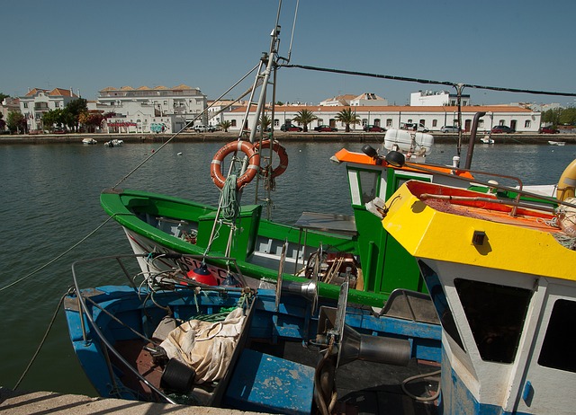 葡萄牙 塔维拉 端口 - 上的免费照片