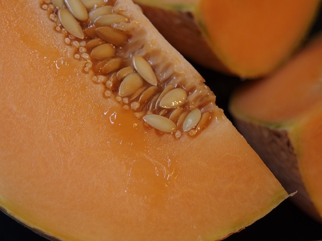 瓜 哈密瓜 橙色水果 - 上的免费照片