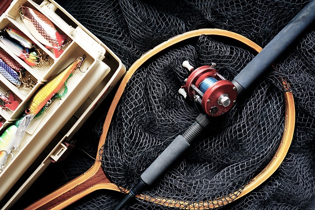 钓鱼 钓竿 捕鱼装置 - 上的免费照片