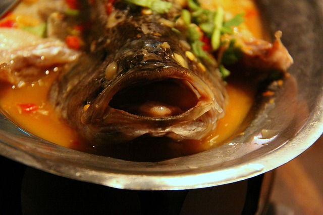 台湾 一顿饭 鱼 - 上的免费照片