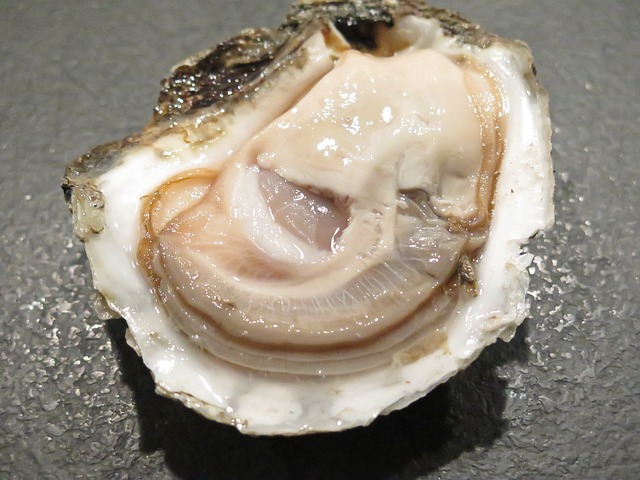 牡蛎 贝类 丹麦语 - 上的免费照片