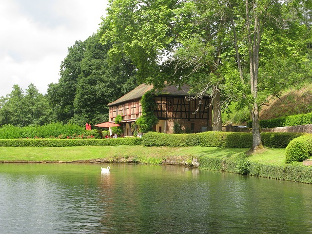 Spessart 宫廷花园 餐厅 - 上的免费照片