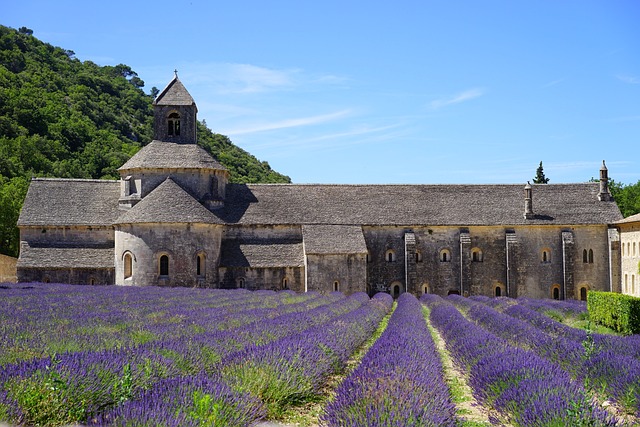 修道院德塞南克 修道院 巴黎圣母院 De Sénanque - 上的免费照片