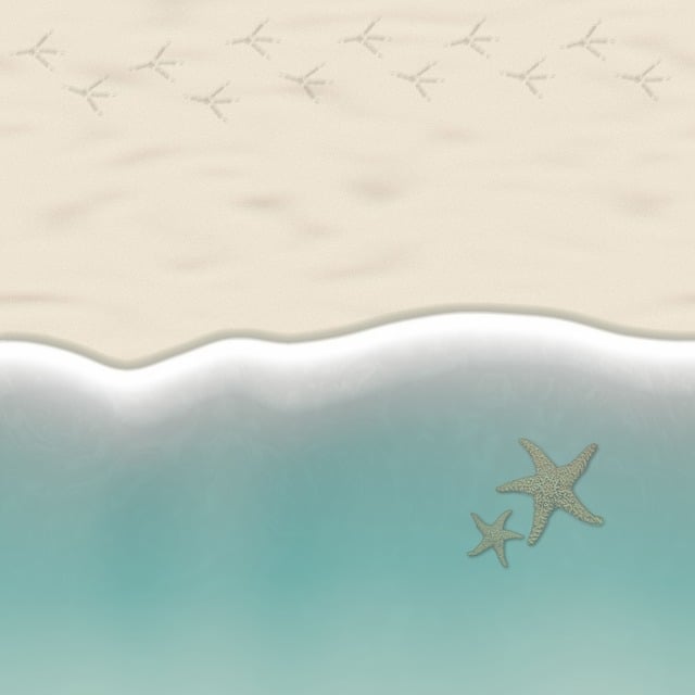 海滩 沙 支撑 - 上的免费图片