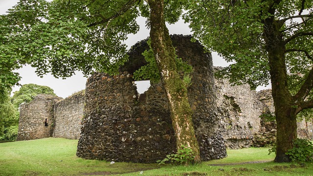 威廉堡 城堡 废墟 - 上的免费照片