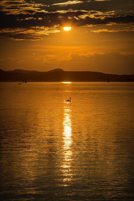 巴拉顿湖 日落 自然 - 上的免费照片