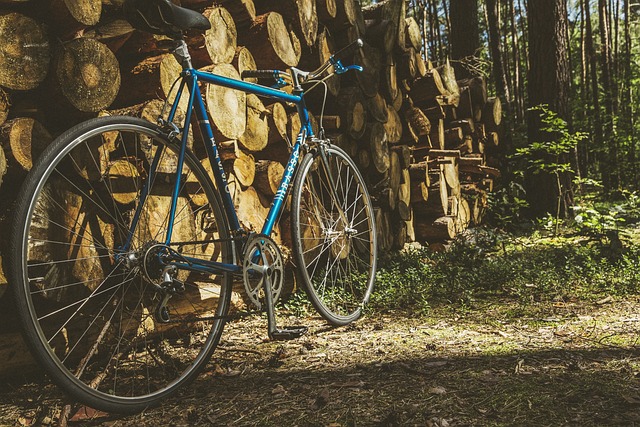 公路自行车 年份 自行车 - 上的免费照片