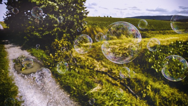 气泡 草 草地 - 上的免费照片