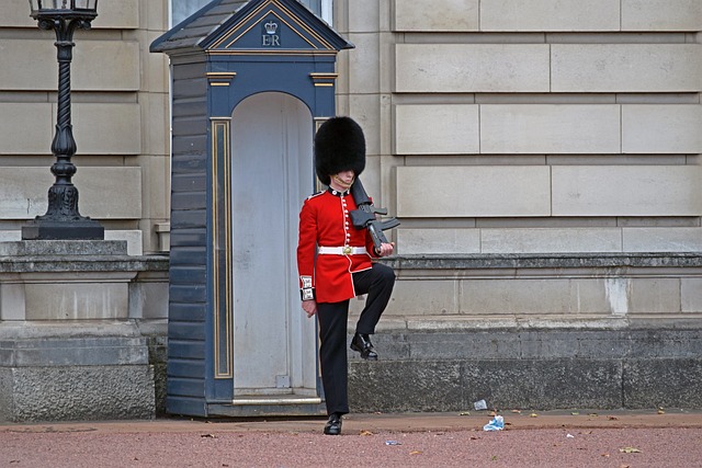 白金汉宫卫队 伦敦 英国 - 上的免费照片