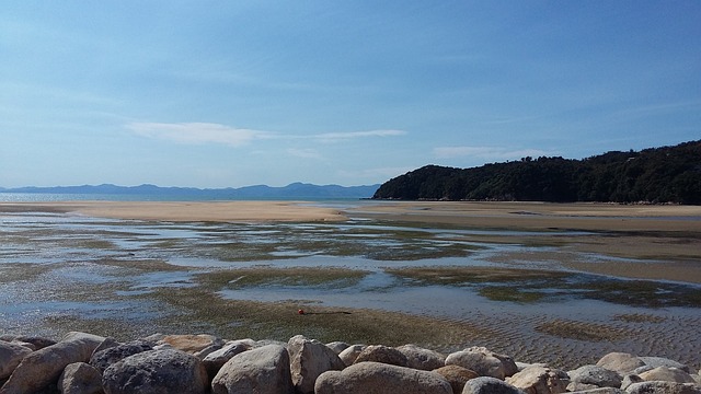 马拉豪 沙湾 海滩 - 上的免费照片