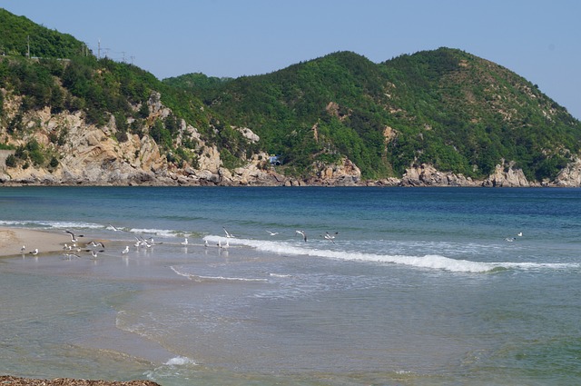 海洋 海鸥 天空 - 上的免费照片