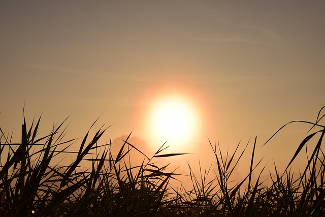 日出 背景 自然 - 上的免费照片