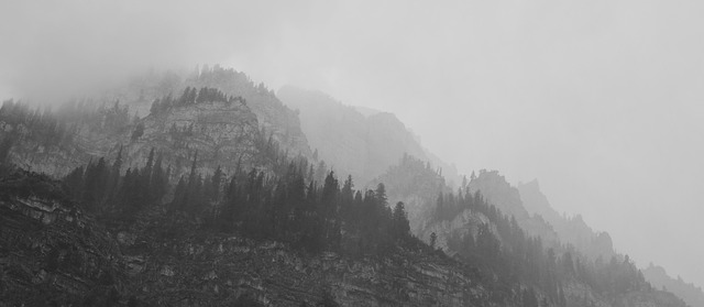 多雾路段 山 树木 - 上的免费照片