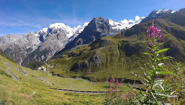 意大利 阿尔卑斯山 Stelvio 枷锁 - 上的免费照片