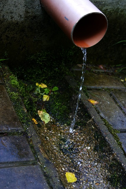 水管 塑料管 下水道 - 上的免费照片