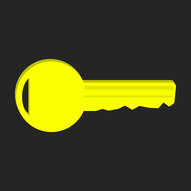 钥匙 锁匠 黄色 - 免费矢量图形