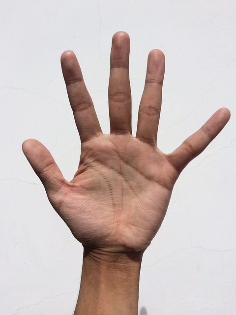棕榈 手 手指 - 上的免费照片