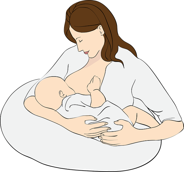 哺乳 产妇 母亲 - 免费矢量图形
