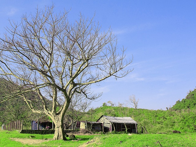 原野 小屋 景观 - 上的免费照片