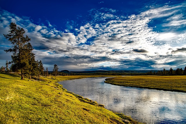 黄石 国家公园 怀俄明州 - 上的免费照片