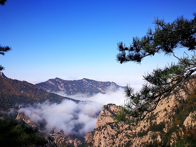 雾灵山 云海 - 上的免费照片