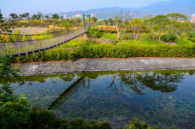 高雄市 中都濕地 吊橋 - 上的免费照片