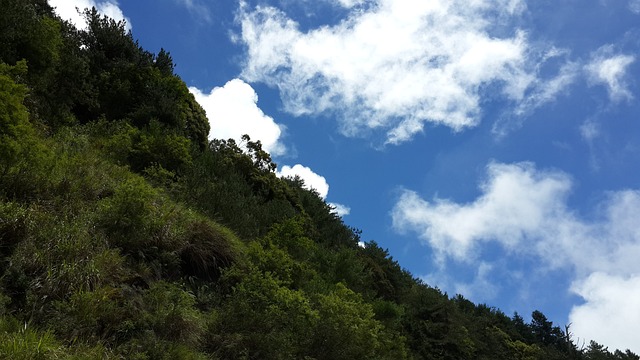 臺灣阿里山 山 雲 - 上的免费照片