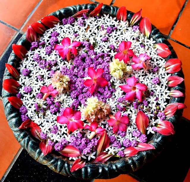 花 Rangoli 水 - 上的免费照片