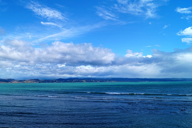 海 新西兰 纳皮尔 - 上的免费照片