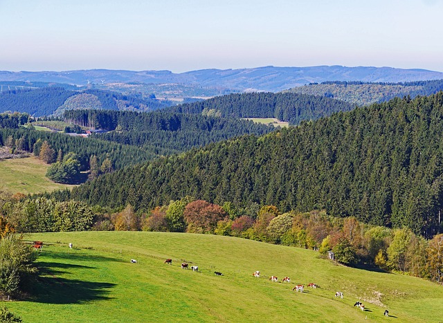 Sauerland 霍姆特 高地 - 上的免费照片